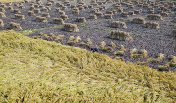 1604040295639580.png blob.png