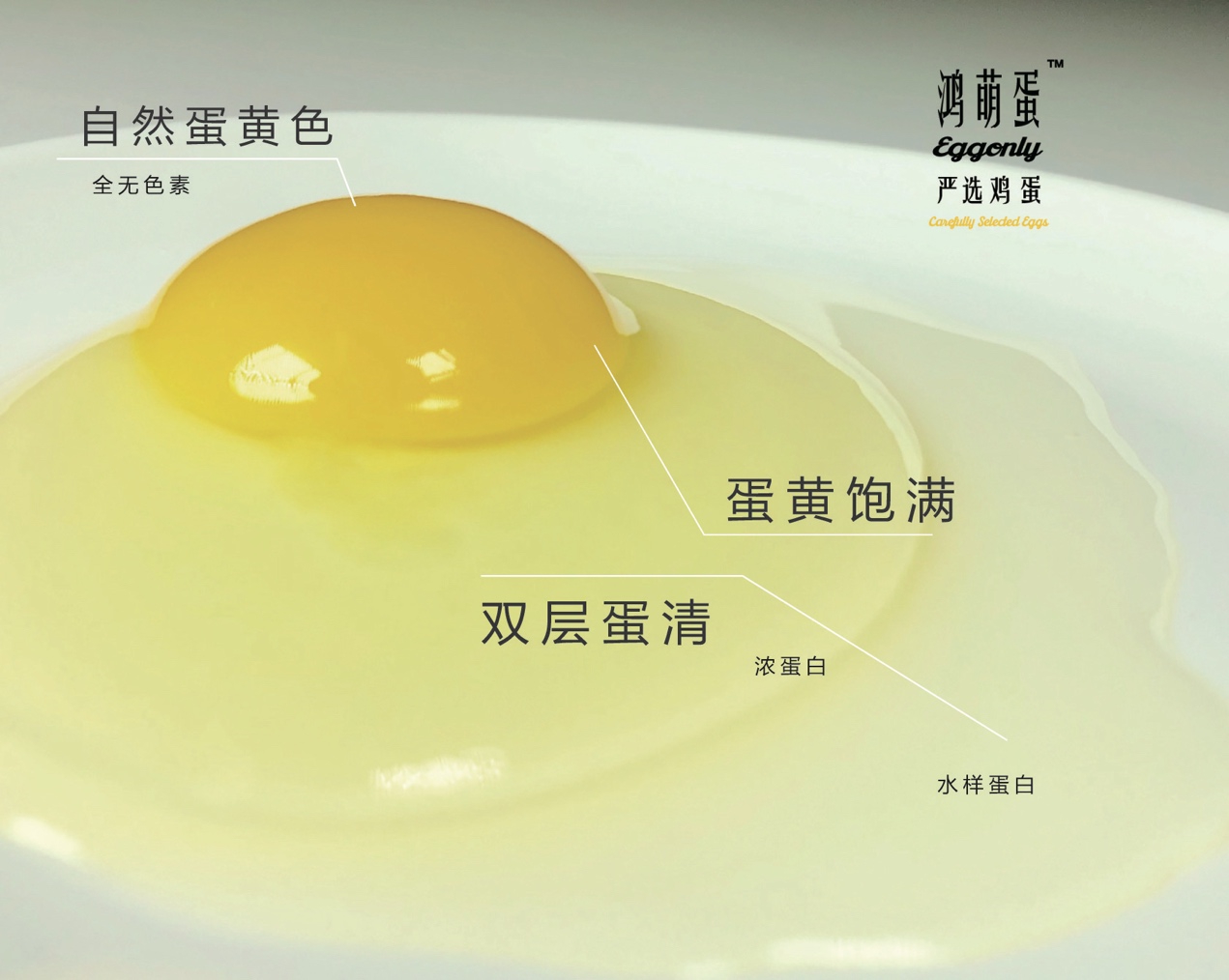 挑选鸡蛋有妙招，鸿萌蛋保障宝宝营养健康