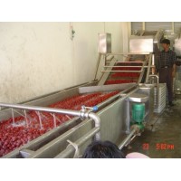 新疆红枣加工厂机器设备，一整条红枣加工生产线清洗机烘干机