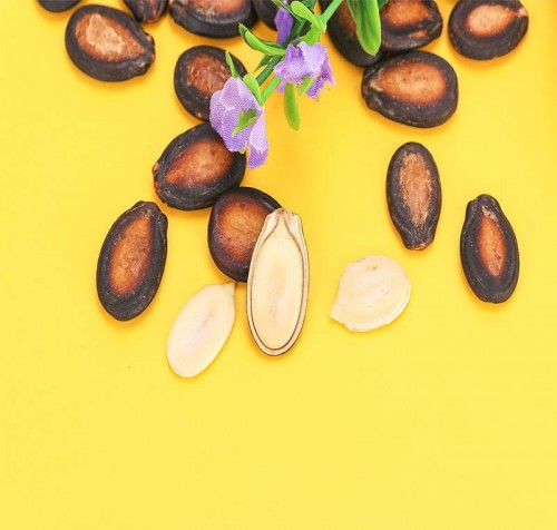 郑州诺艾东商贸有限公司：带你开启美味零食“上瘾”之旅