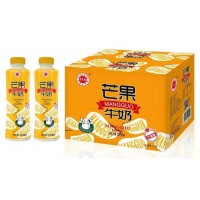 金登河芒果牛奶500ml，厂家批发，厂家大量直发，售后无忧