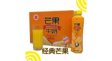 金登河芒果牛奶500ml，厂家批发，厂家大量直发，售后无忧图2