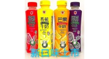 金登河芒果牛奶500ml，厂家批发，厂家大量直发，售后无忧图4