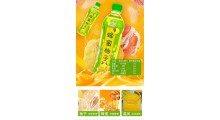 供应金登河蜂蜜柚子茶500ml，厂家批发，厂家直发，质量无忧图2