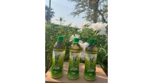 大量供应金登河绿茶500ml，厂家批发，厂家直发，质量无忧图3
