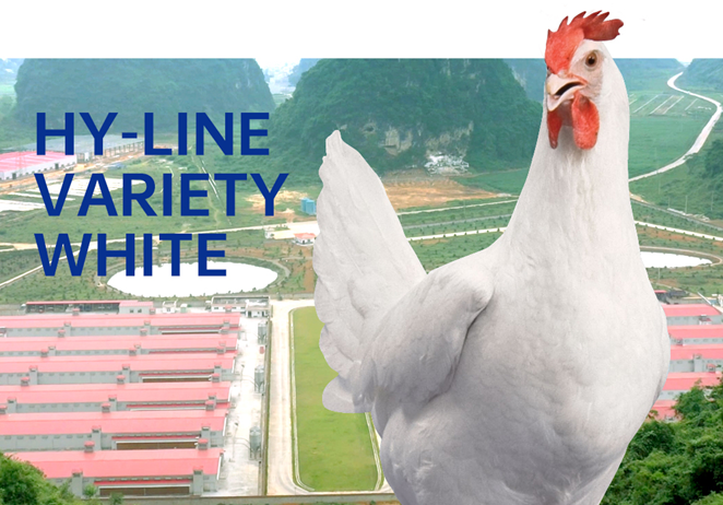 QQ截图20210113135435