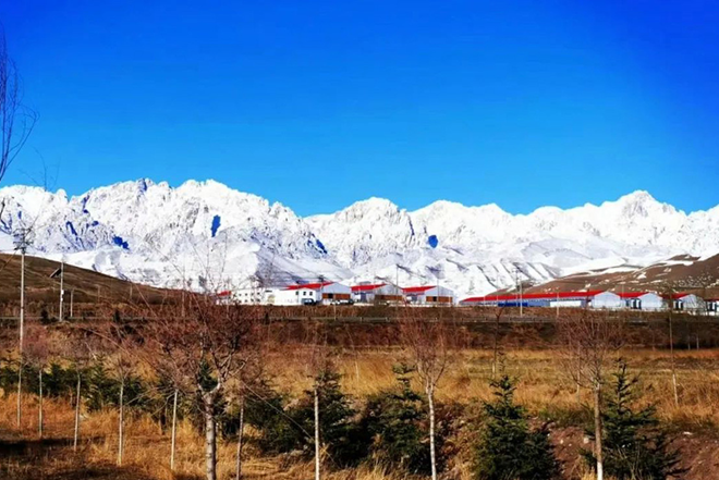 QQ截图20210113135451