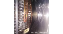黄桃隧道式速冻机、蓝莓速冻设备图2