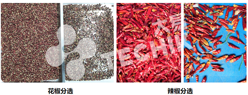 bca6e97bd45ed9087384dcd9a05c0c3