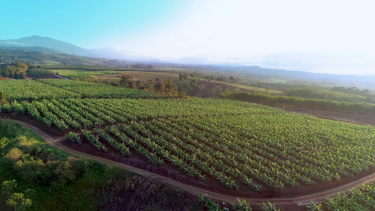 1616059174454019922.jpg 1616059174454019922.jpg