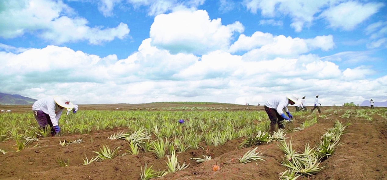 1616059114191053047.jpg 1616059114191053047.jpg