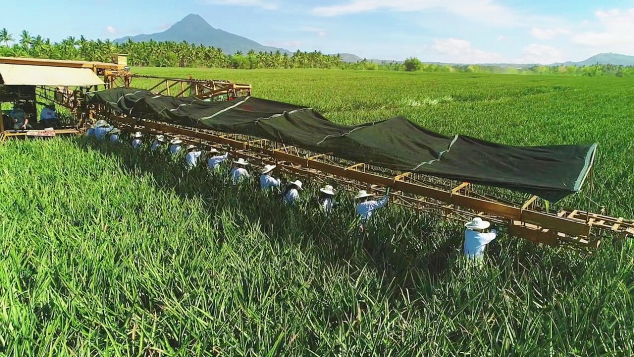 1616059094403097238.jpg 1616059094403097238.jpg