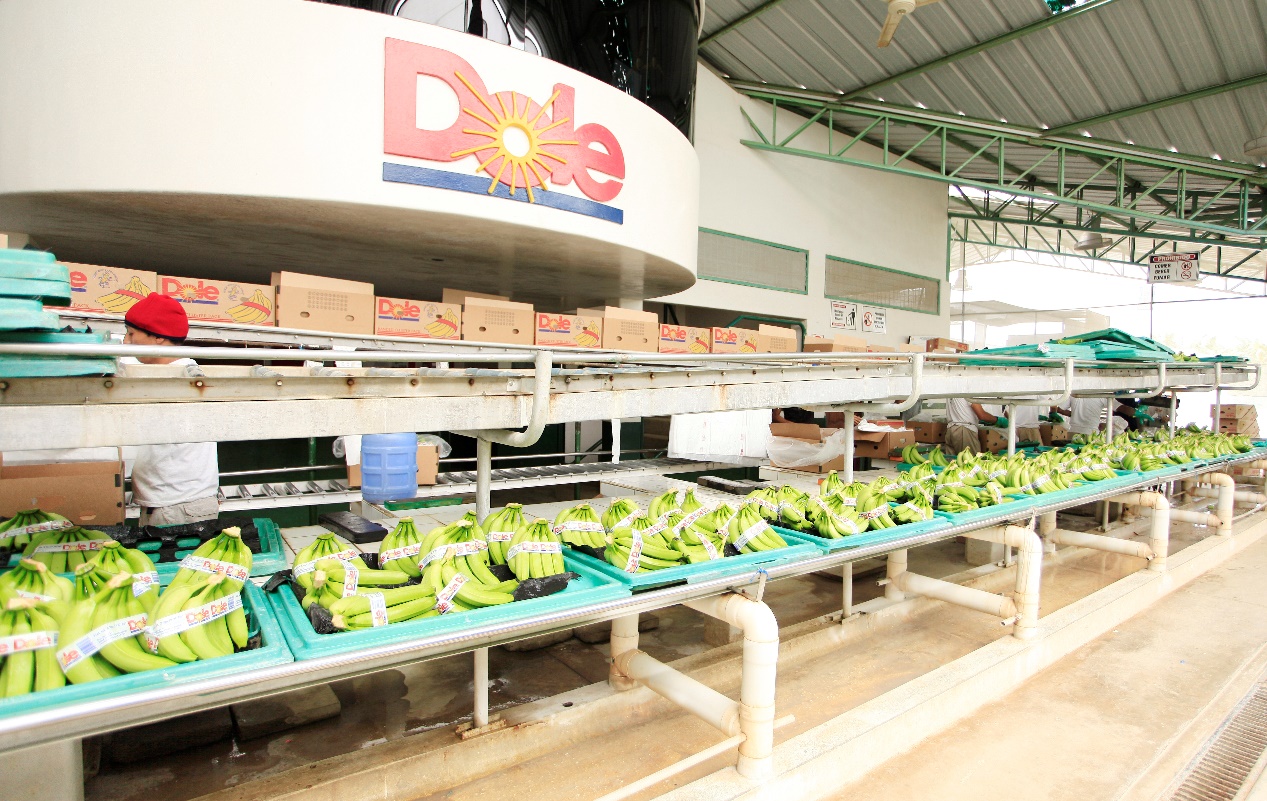 1616059218548034122.jpg 1616059218548034122.jpg