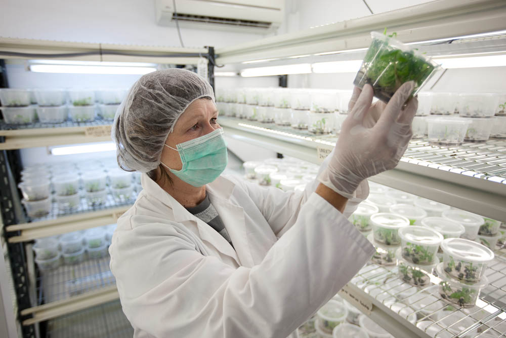 1616059196352050207.jpg 1616059196352050207.jpg