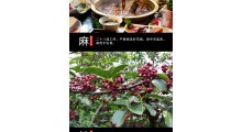 麻麻鱼底料代加工工厂贴牌工厂常年供应图3