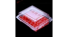 专业生产食品吸塑包装盒 西点盒果蔬盒肉片盒厂家批发图6