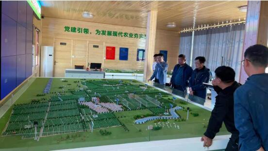 中农远洋彭程：谈农产品智慧交易中心的落地