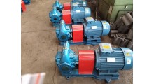 kcb300-1齿轮油泵_不锈钢齿轮泵_防爆齿轮泵图1