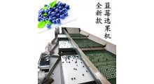 蓝莓分级机不伤果粉图3