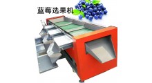 蓝莓分选机按大小分选图2