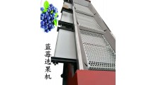 蓝莓分选机按大小分选图3