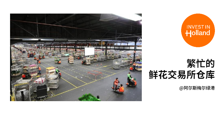 1622171371843915.jpg 7.jpg