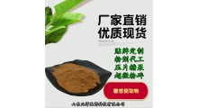 藿香提取物 广藿香粉 藿香多糖 药食同源 定制 贴牌 代加工图1