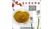 蒲公英超微粉 蒲公英提取物 低温破壁 挤压破壁 定制贴牌代工图1