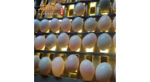 扁担姐的散放麻鸭蛋图8