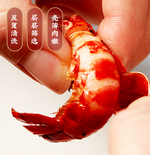 2图片 1.png 2图片 1.png