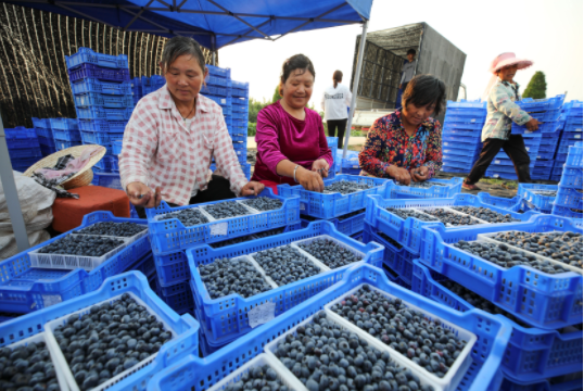 QQ截图20210628191011