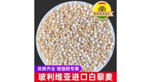 玻利维亚进口白藜麦批发图1