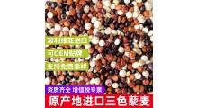 玻利维亚进口三色藜麦批发商图1