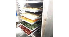 厂家直销真空冷冻干燥设备水果蔬菜药材草莓玫瑰花果蔬脆冻干机图5