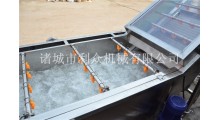 厂家直销洗菜机水果蔬菜菠菜白菜土豆清洗机图2