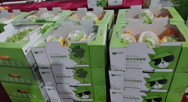 QQ截图20210802104220