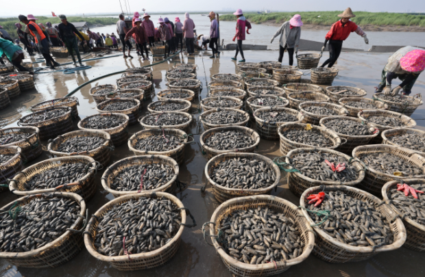 QQ截图20210816180317