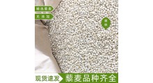 进口白藜麦 25kg袋装现货批发图1