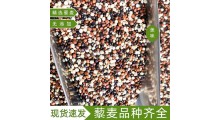 三色藜麦广东批发商图1