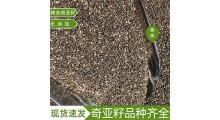 墨西哥进口奇亚籽图1