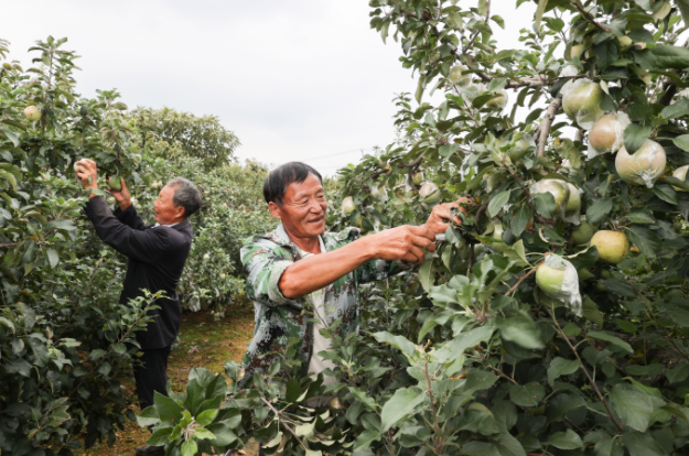 QQ截图20210907154537