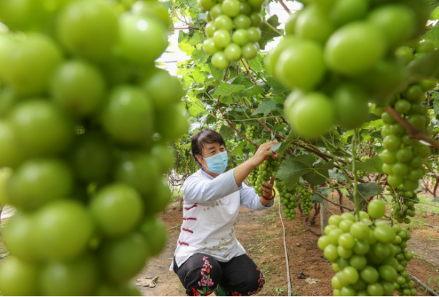 QQ截图20210907154339