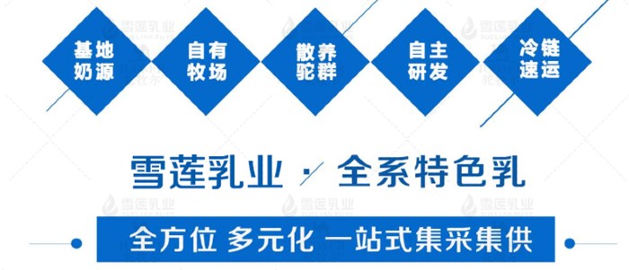 雪莲乳业1