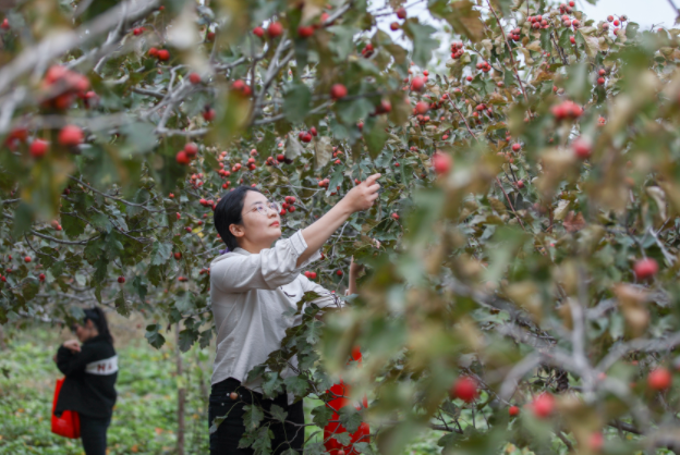 QQ截图20211027162354