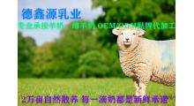 绵羊奶粉oem代加工-甘肃德鑫源乳业图1