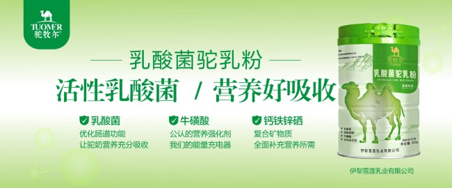 7乳酸菌