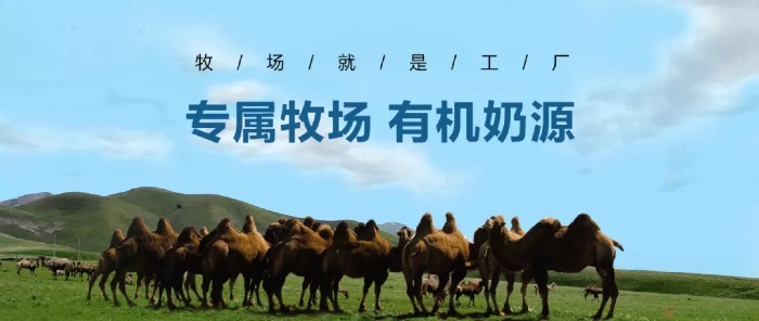 4雪莲专业牧场