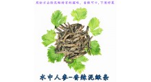 泥鳅加工厂批发鳅公子牌泥鳅食品麻辣泥鳅条香辣泥鳅条泥鳅肉条图4