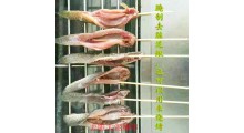大型泥鳅深加工工厂鳅公子泥鳅系列产品去脏泥鳅去头尾泥鳅去骨刺图4