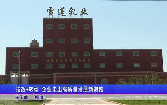 8雪莲乳业厂家